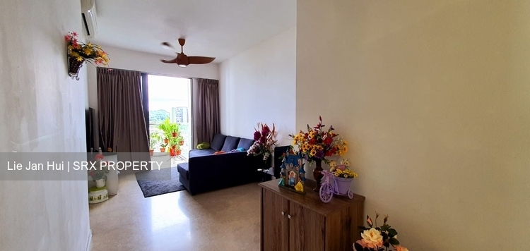 Skies Miltonia thumbnail photo